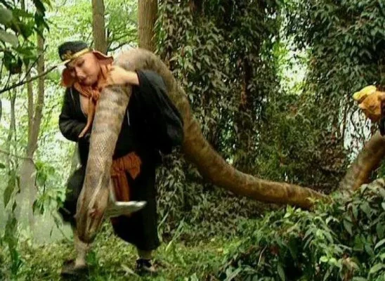 回到西游变成蟒-峨眉蟒蛇西游体验