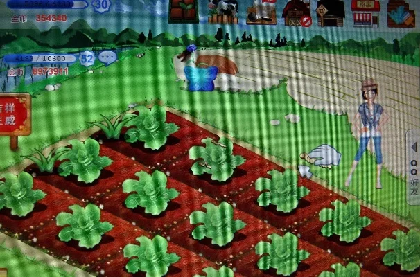 阿强qq农场助手-虚拟农场体验之旅