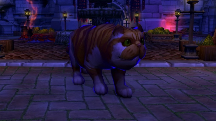 魔兽世界小宠物变大-魔兽萌宠进化指南