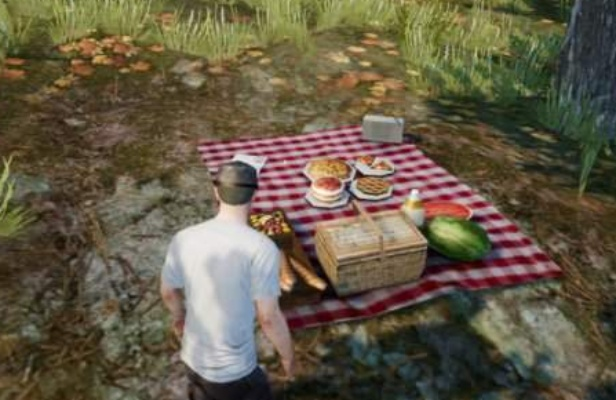 吃鸡的野餐聚点在哪里-吃鸡最佳野餐点