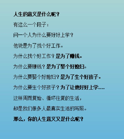 你的人生意义是什么-游戏探索人生意义