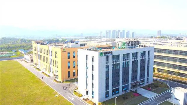 手游排行榜重庆植恩药业-重庆植恩药业：手游健康守护者