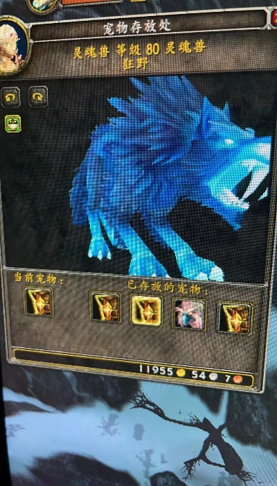 wlk灵魂兽只能兽王猎用吗